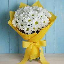 Букет цветов из:  Хризантемы в Пачелме