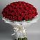 Букет 101 Красная роза Блэк Мэджик в Пачелме