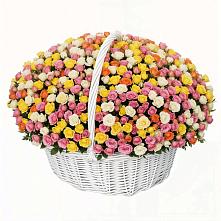 Премиум букет из: Розы в Пачелме