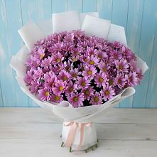 Букет цветов из:  Хризантемы #REPLACE_PRED# Пачелме