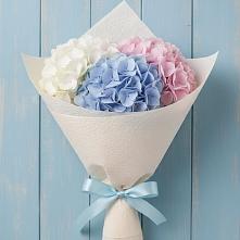 Букет цветов из:  Гортензия в Пачелме