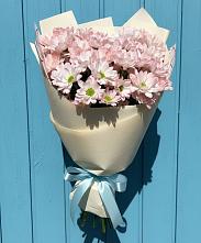 Букет цветов из:  Хризантемы #REPLACE_PRED# Пачелме