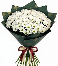 Букет цветов из:  Хризантемы в Пачелме