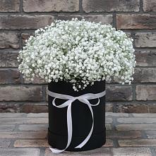 Цветочная композиция из Гипсофила в шляпной коробке в Пачелме
