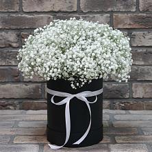 Цветочная композиция из Гипсофила в шляпной коробке в Пачелме