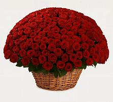 Премиум букет из: Розы в Пачелме