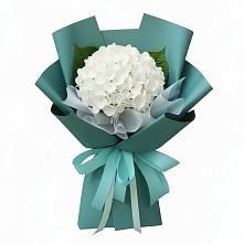 Букет цветов из:  Гортензия #REPLACE_PRED# Пачелме